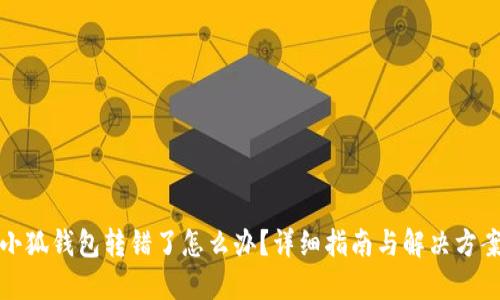 小狐钱包转错了怎么办？详细指南与解决方案