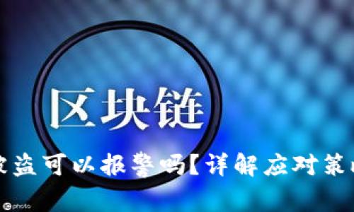 虚拟冷钱包被盗可以报警吗？详解应对策略与法律途径