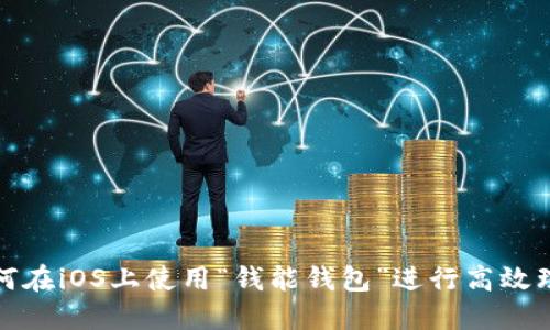 如何在iOS上使用“钱能钱包”进行高效理财
