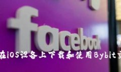 如何在iOS设备上下载和使