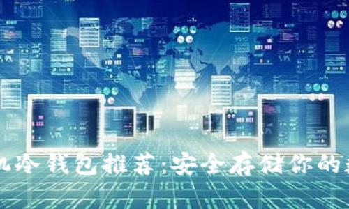 苹果手机冷钱包推荐：安全存储你的数字资产