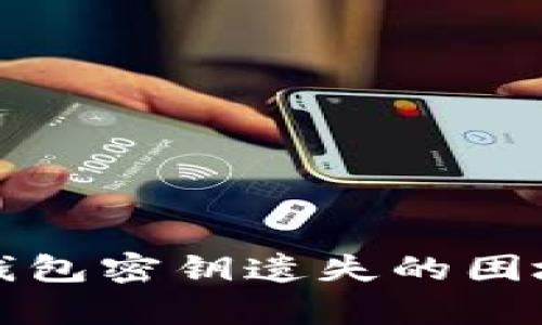 如何应对冷钱包密钥遗失的困境及恢复方法