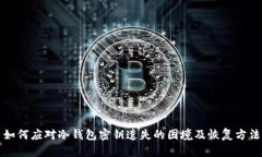 如何应对冷钱包密钥遗失