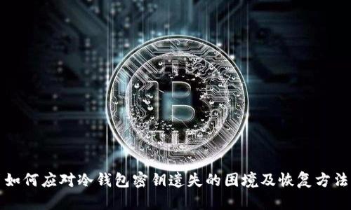 如何应对冷钱包密钥遗失的困境及恢复方法
