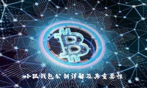 小狐钱包公钥详解及其重要性
