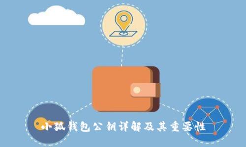 小狐钱包公钥详解及其重要性