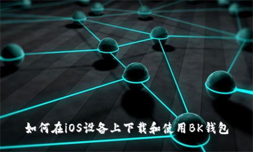 如何在iOS设备上下载和使用BK钱包