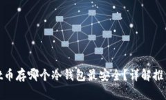 Polkadot币存哪个冷钱包最安