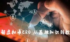 深入了解虚拟币CRO：从基