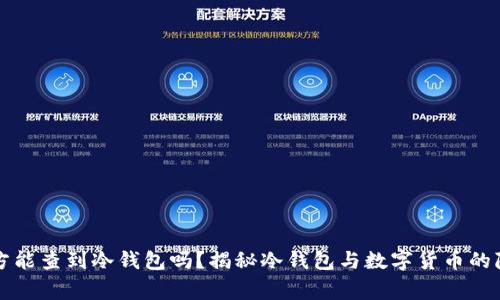 警方能查到冷钱包吗？揭秘冷钱包与数字货币的隐私