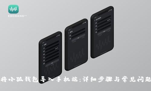 如何将小狐钱包导入手机端：详细步骤与常见问题解答