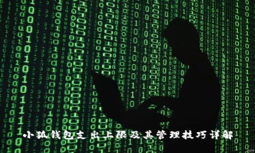 小狐钱包支出上限及其管理技巧详解