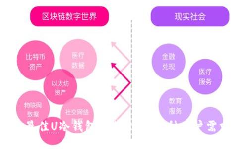 2023年最佳U冷钱包推荐：适合各种用户需求的选项