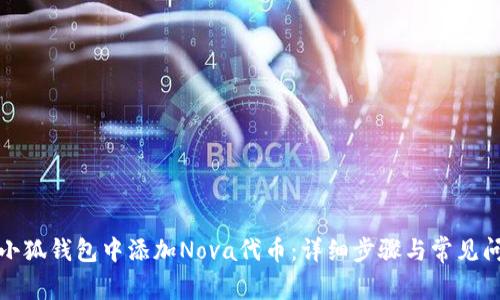 如何在小狐钱包中添加Nova代币：详细步骤与常见问题解答