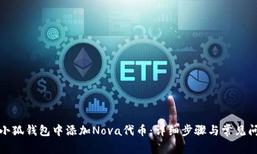 如何在小狐钱包中添加Nova代币：详细步骤与常见问题解答
