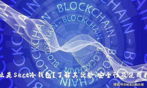 什么是Sect冷钱包？了解其优势、安全性及使用指南