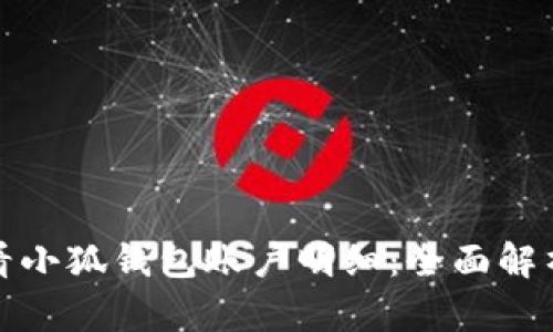 如何查看小狐钱包账户明细：全面解析与技巧