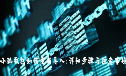 小狐钱包如何重新导入：详细步骤与注意事项