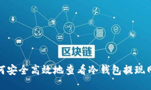 如何安全高效地查看冷钱包提现网络