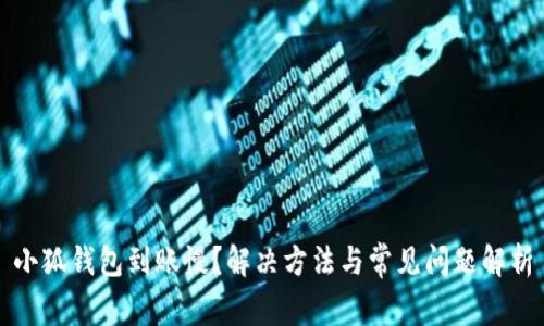 小狐钱包到账慢？解决方法与常见问题解析
