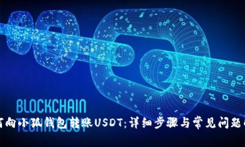如何向小狐钱包转账USDT：详细步骤与常见问题解答