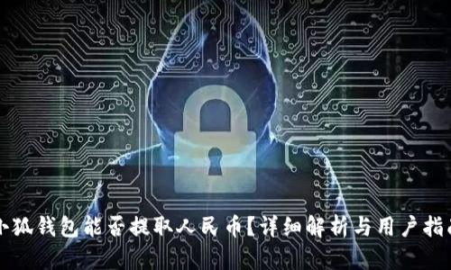 小狐钱包能否提取人民币？详细解析与用户指南