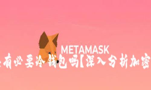 买币10000块有必要冷钱包吗？深入分析加密货币存储安全