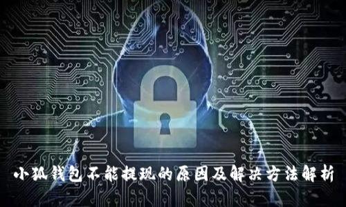 小狐钱包不能提现的原因及解决方法解析