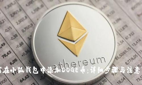 如何在小狐钱包中添加DOGE币：详细步骤与注意事项