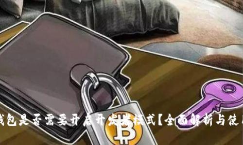 小狐钱包是否需要开启开发者模式？全面解析与使用指南