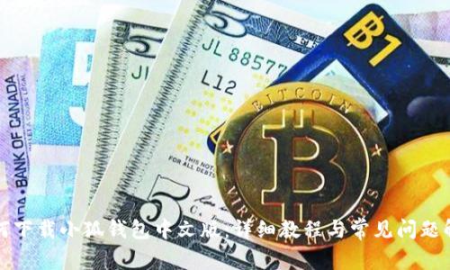 如何下载小狐钱包中文版：详细教程与常见问题解答