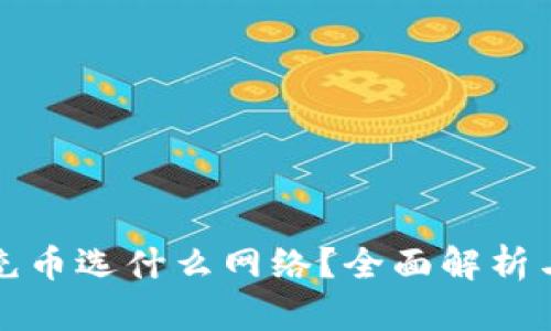 小狐钱包充币选什么网络？全面解析与选择指南
