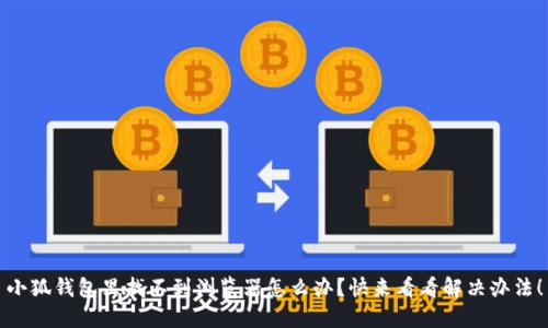 小狐钱包里找不到浏览器怎么办？快来看看解决办法！
