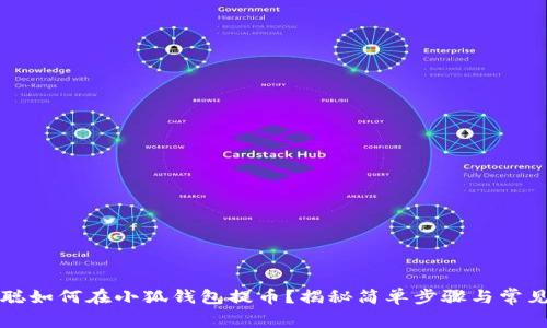 中本聪如何在小狐钱包提币？揭秘简单步骤与常见问题