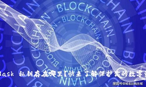 MetaMask 私钥存在哪里？快来了解保护你的数字资产吧！