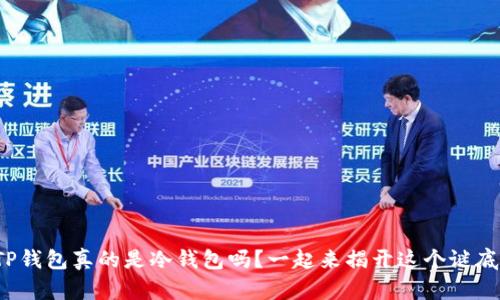 : TP钱包真的是冷钱包吗？一起来揭开这个谜底吧！