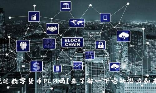 你听说过数字货币PLM吗？来了解一下它的潜力和未来吧！