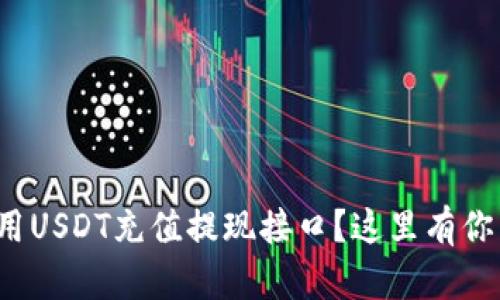 : 如何方便地使用USDT充值提现接口？这里有你需要知道的一切！