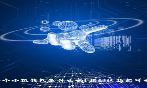 你知道两个小狐钱包是什么吗？揭秘这款超可爱的钱包！