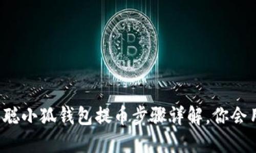 中本聪小狐钱包提币步骤详解，你会用吗？