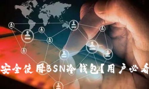 如何安全使用BSN冷钱包？用户必看指南