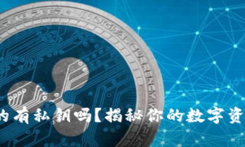 硬件钱包真的有私钥吗？揭秘你的数字资产安全之道！