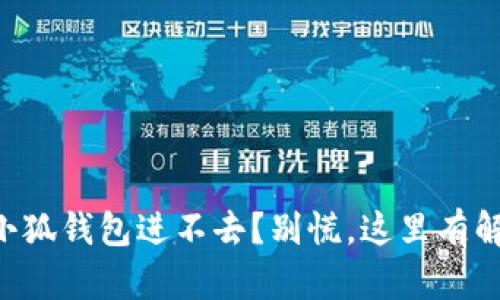 “中本聪小狐钱包进不去？别慌，这里有解决办法！”