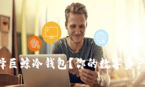 为什么选择巨鲸冷钱包？你的数字资产安全之道！