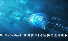 为什么我的 MetaMask 没有显