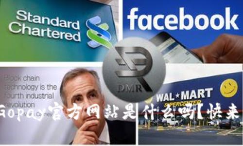 你知道Gopay官方网站是什么吗？快来看看吧！