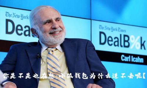 你是不是也在想：小狐钱包为什么进不去呢？