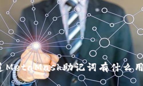 你知道MetaMask助记词有什么用处吗？