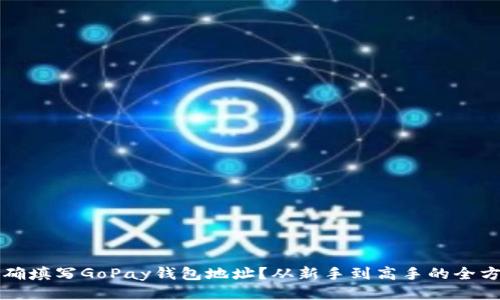 如何正确填写GoPay钱包地址？从新手到高手的全方位指南