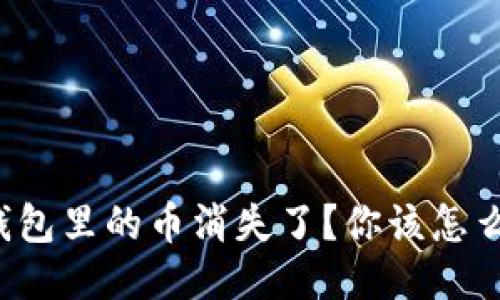 冷钱包里的币消失了？你该怎么办！